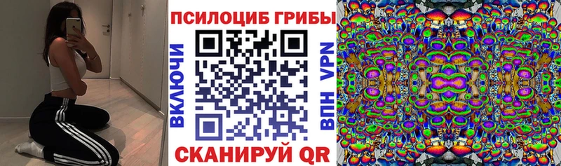 Галлюциногенные грибы мицелий  blacksprut зеркало  Воронеж  купить  
