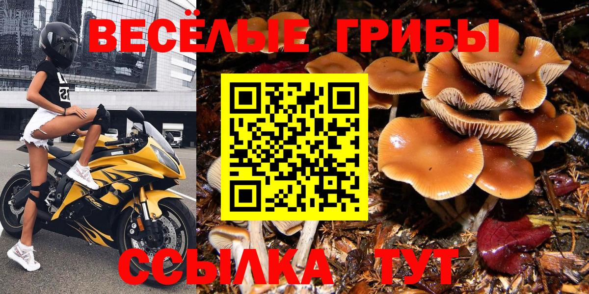 Галлюциногенные грибы мицелий Воронеж