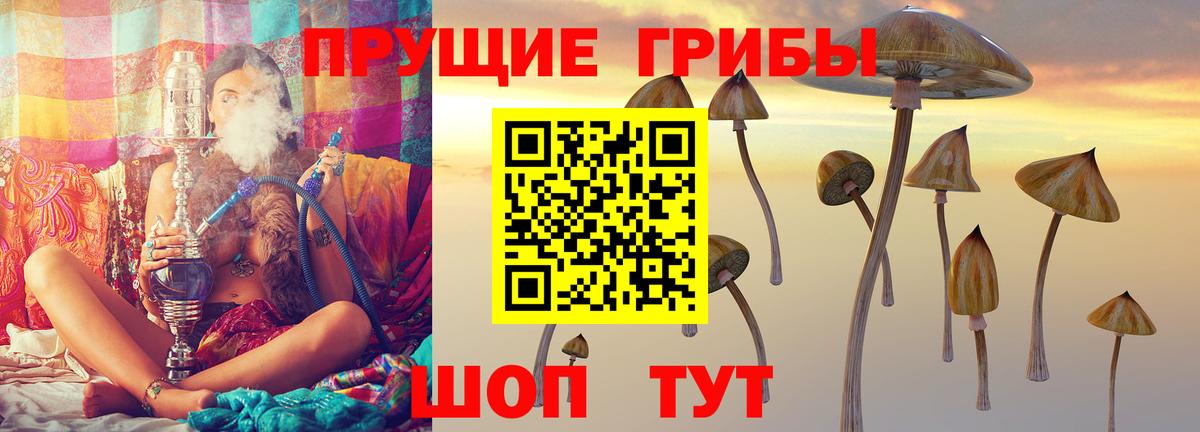 Псилоцибиновые грибы GOLDEN TEACHER  Вход с VPN  Галлюциногенные грибы Psilocybe  наркотики  Воронеж 