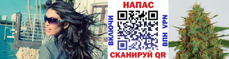 купить наркотик  МЕГА ссылки  Бошки марихуана VHQ  Воронеж 